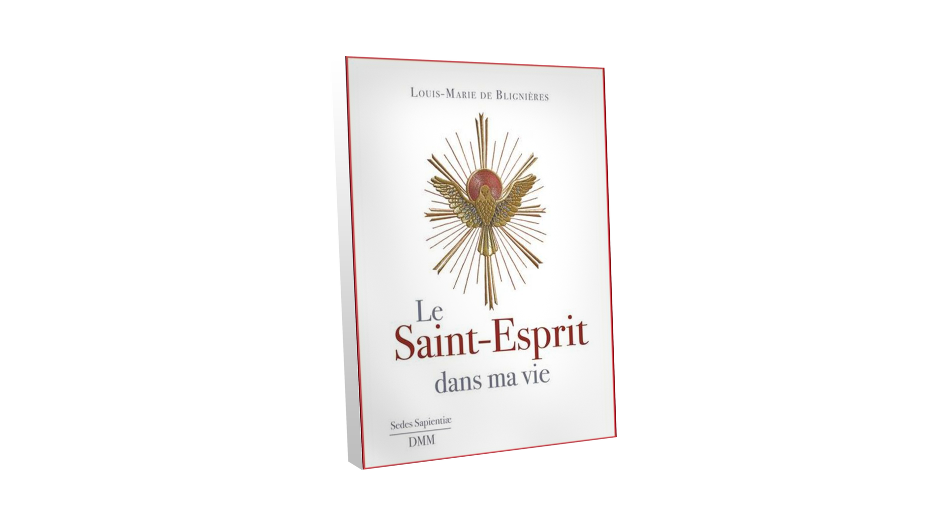 Le Saint-Esprit dans ma vie - par Louis-Marie de Blignières